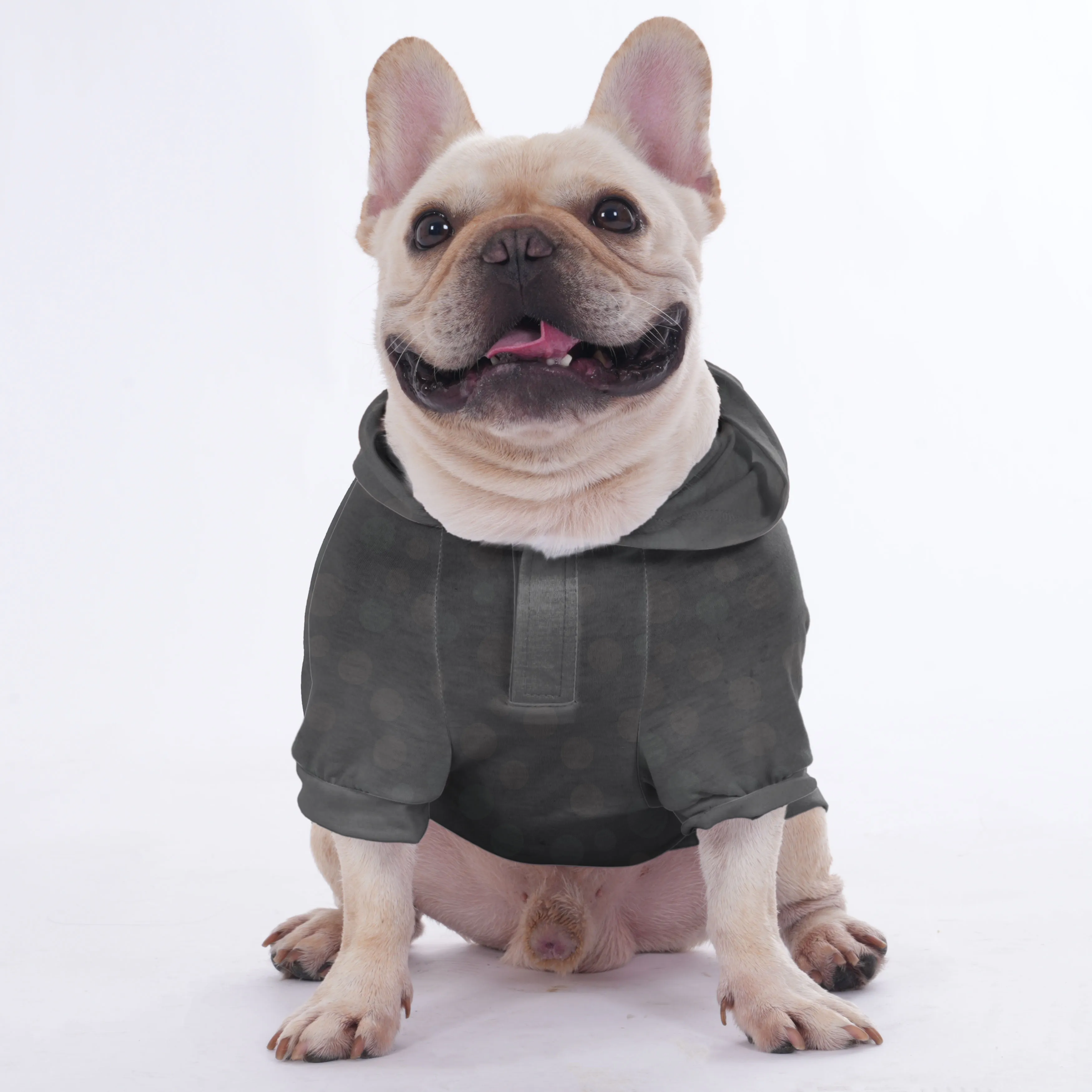 Anti social frenchie club - Hoodies for French Bulldog  | Frenchie Shop Original