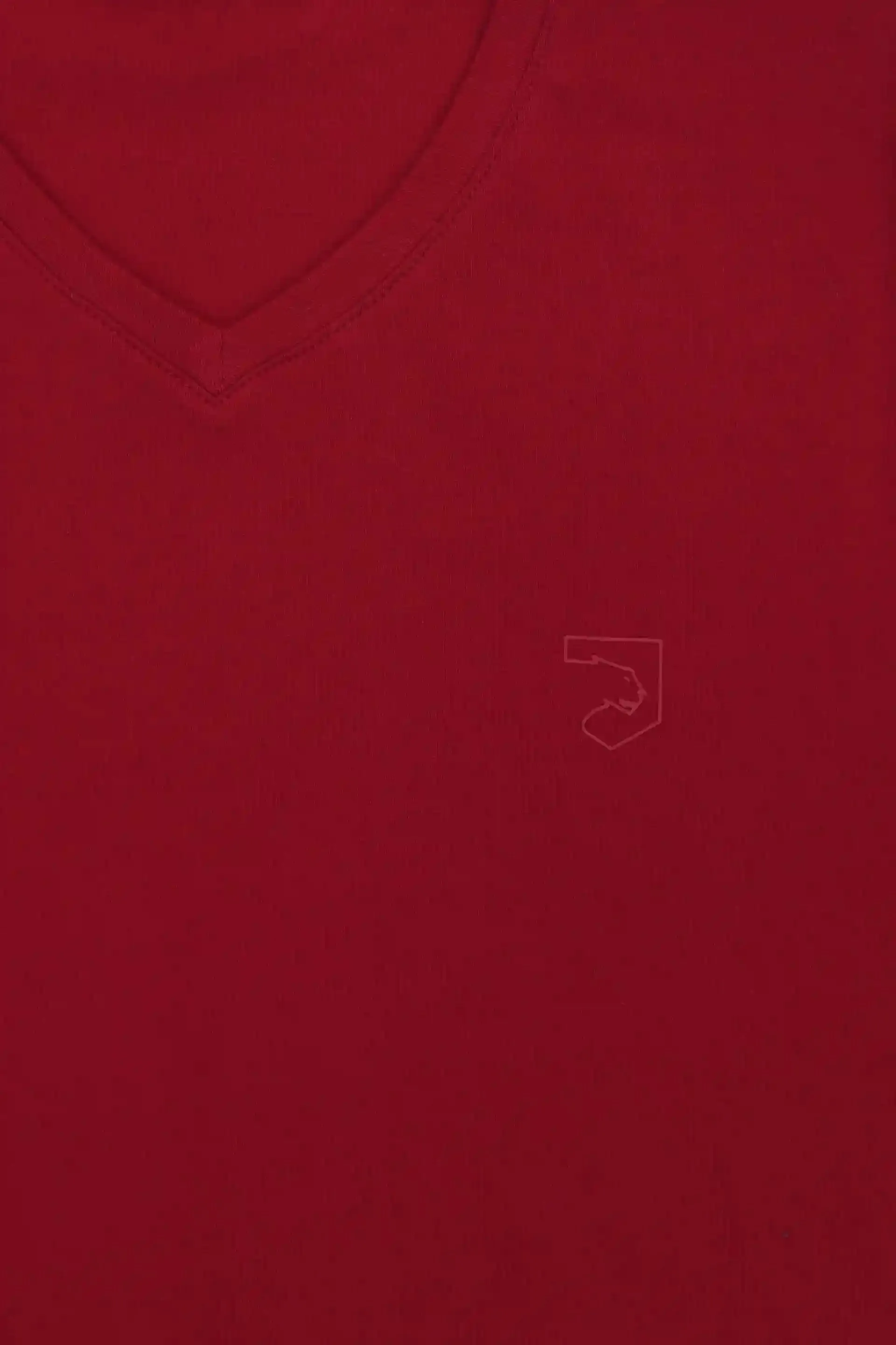 Red V-Neck T-Shirt