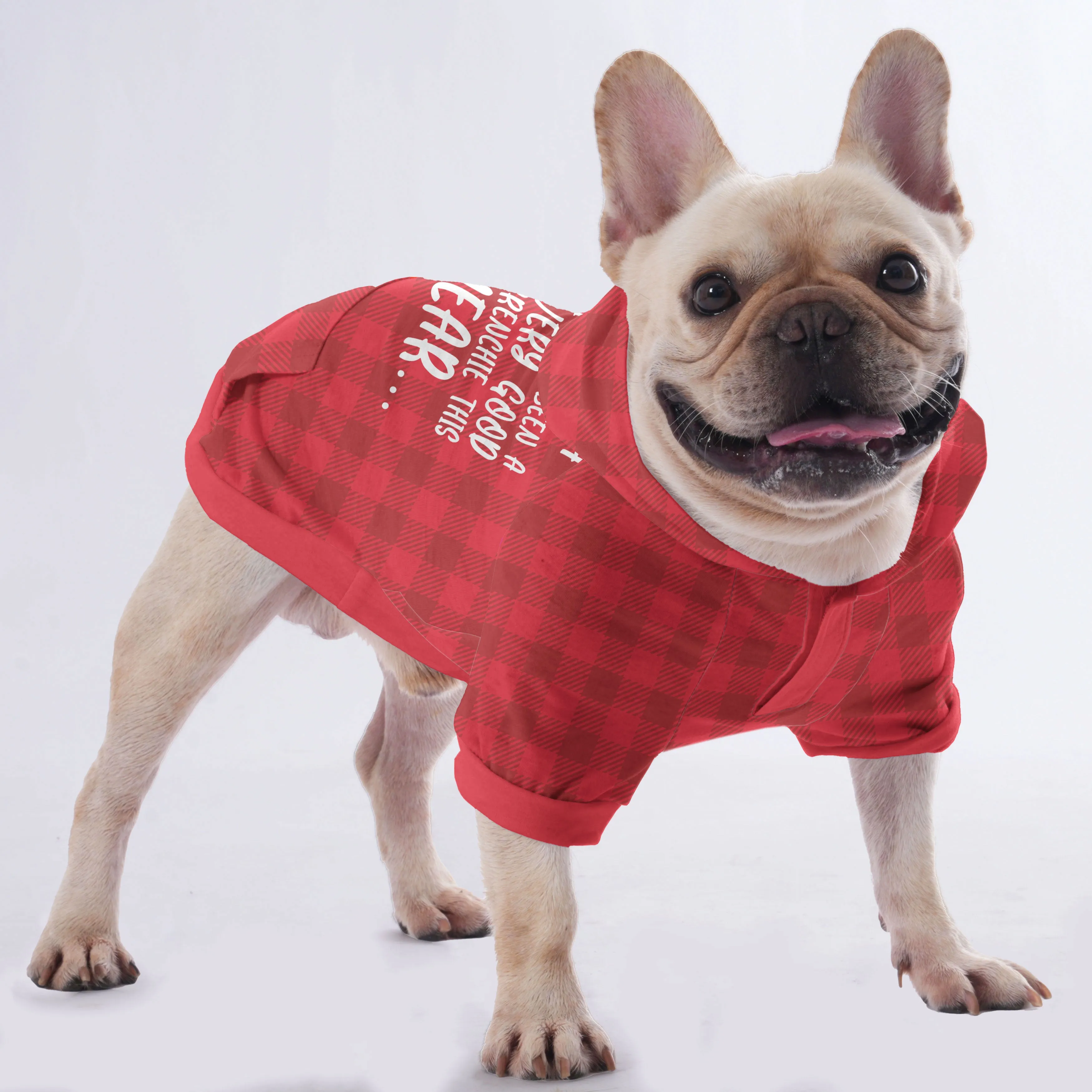 Winston - Hoodies for French Bulldog  | Frenchie Shop Original